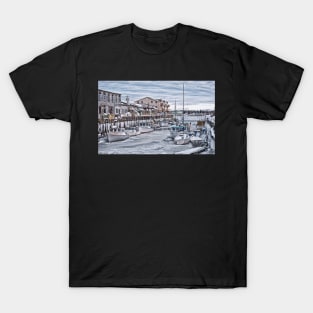 Frigid & Safe T-Shirt